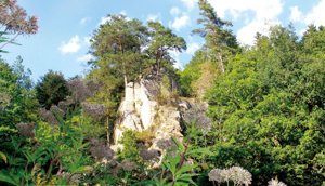 Saut du Cerf (Hirzsprung)