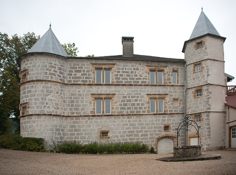 Château de Montrichard