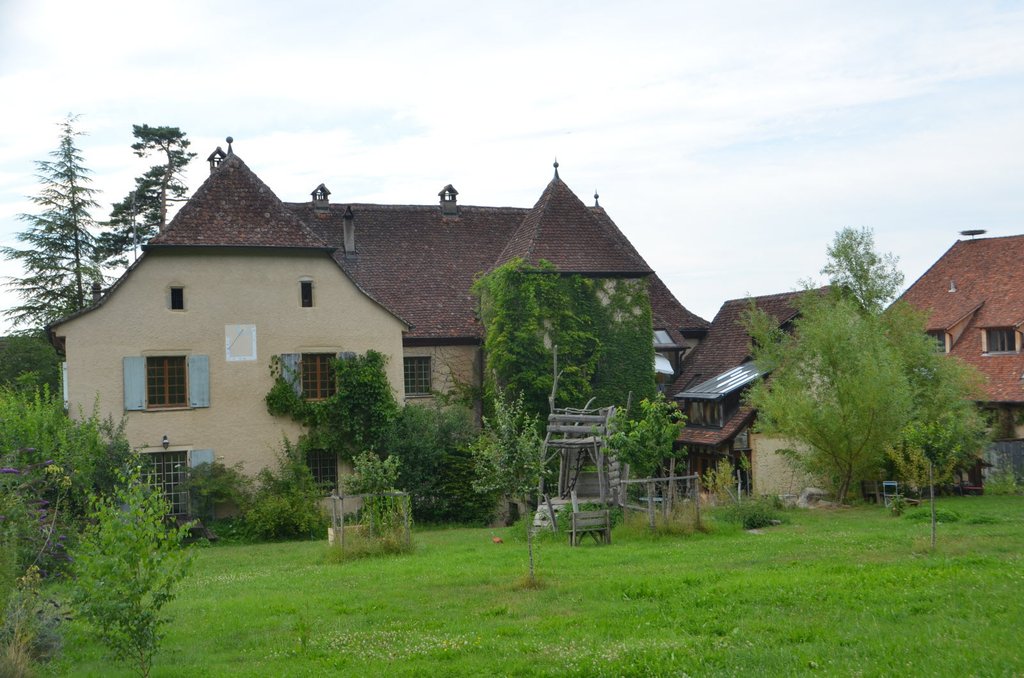 Le château des Reich de Reichenstein