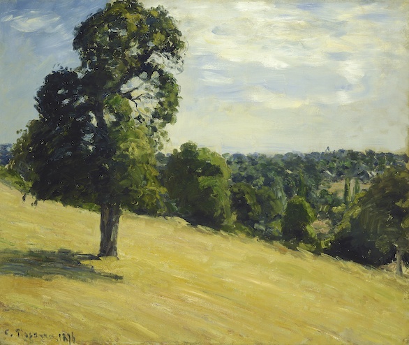 Le grand poirier de Montfoucault