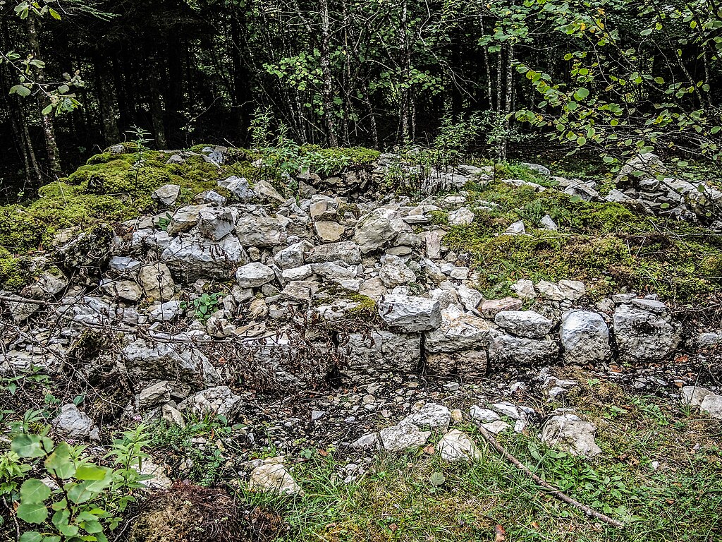 Ruines de Châtelneuf-en-Vennes
