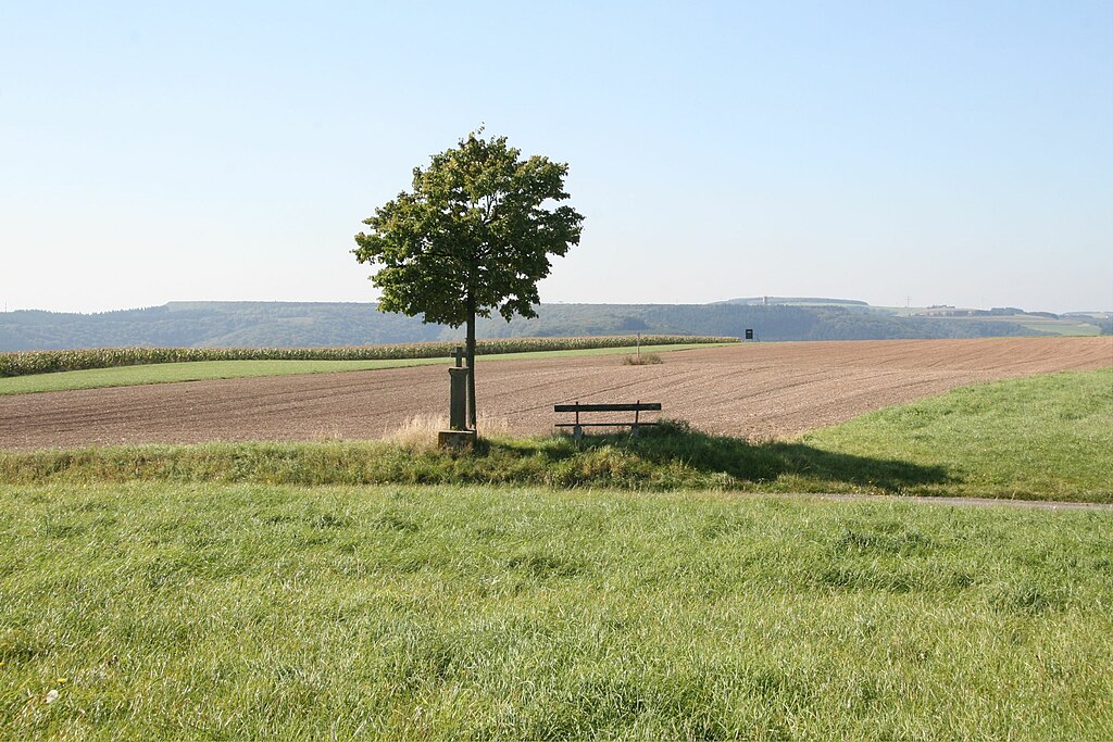 Bauler Kläschen