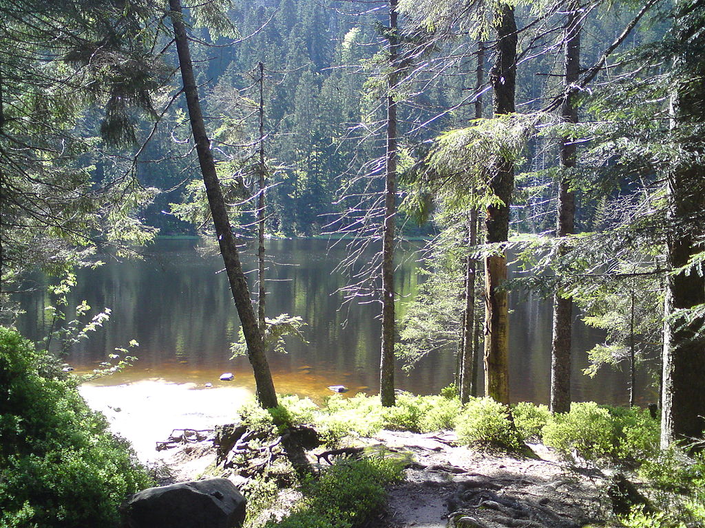 Le Wildsee