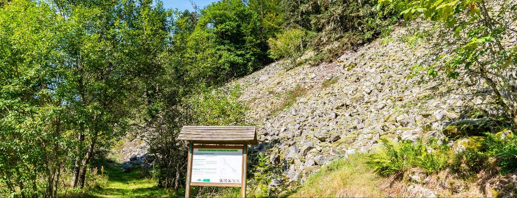La réserve biologique du Kertoff