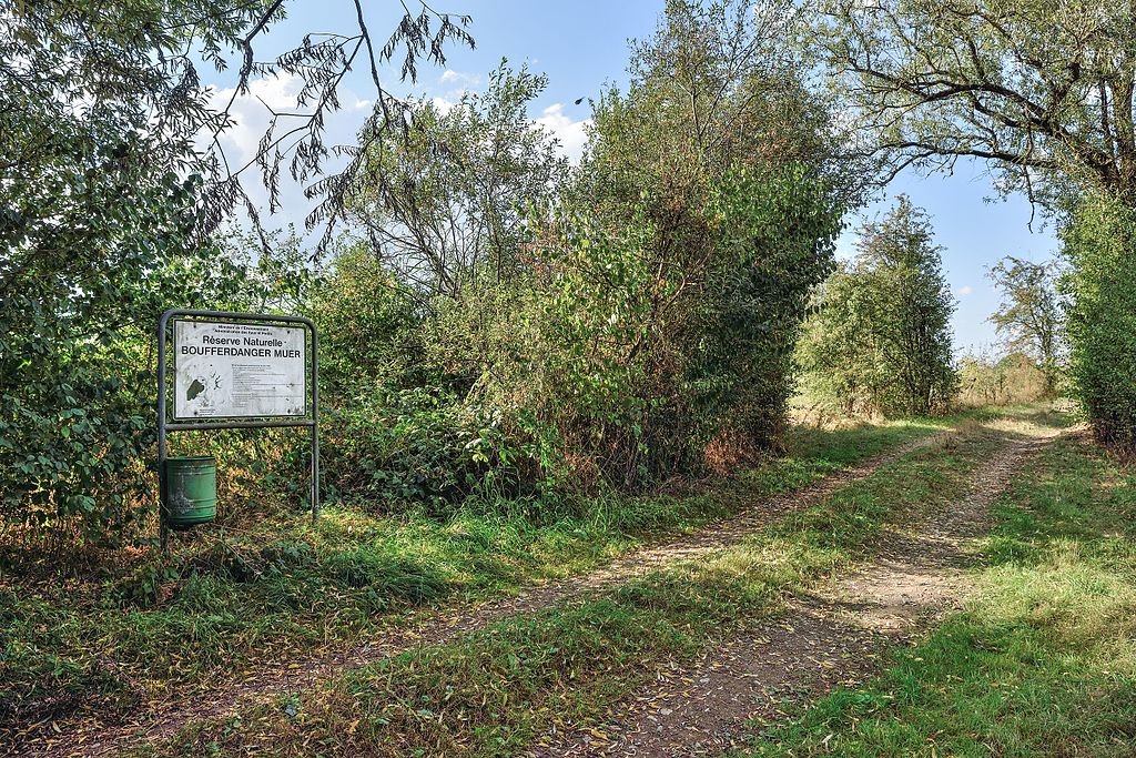 Marais de Boufferdanger