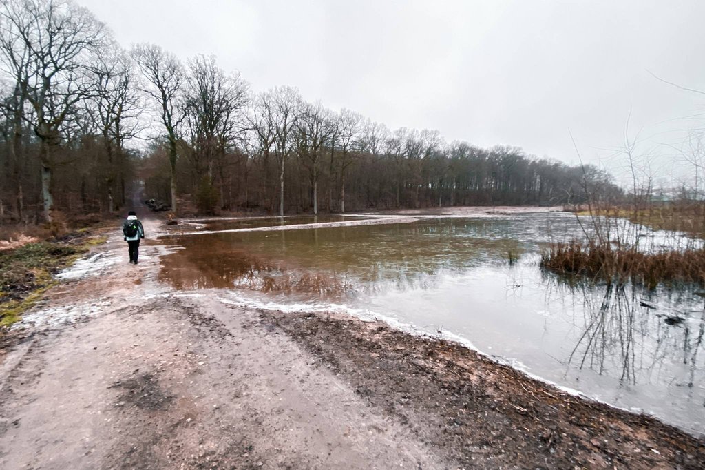 Etang de Pleitrange