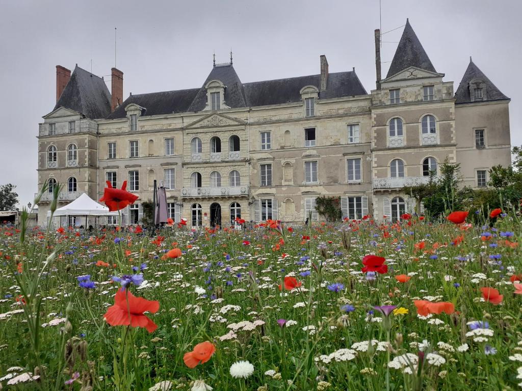 Château de Briançon