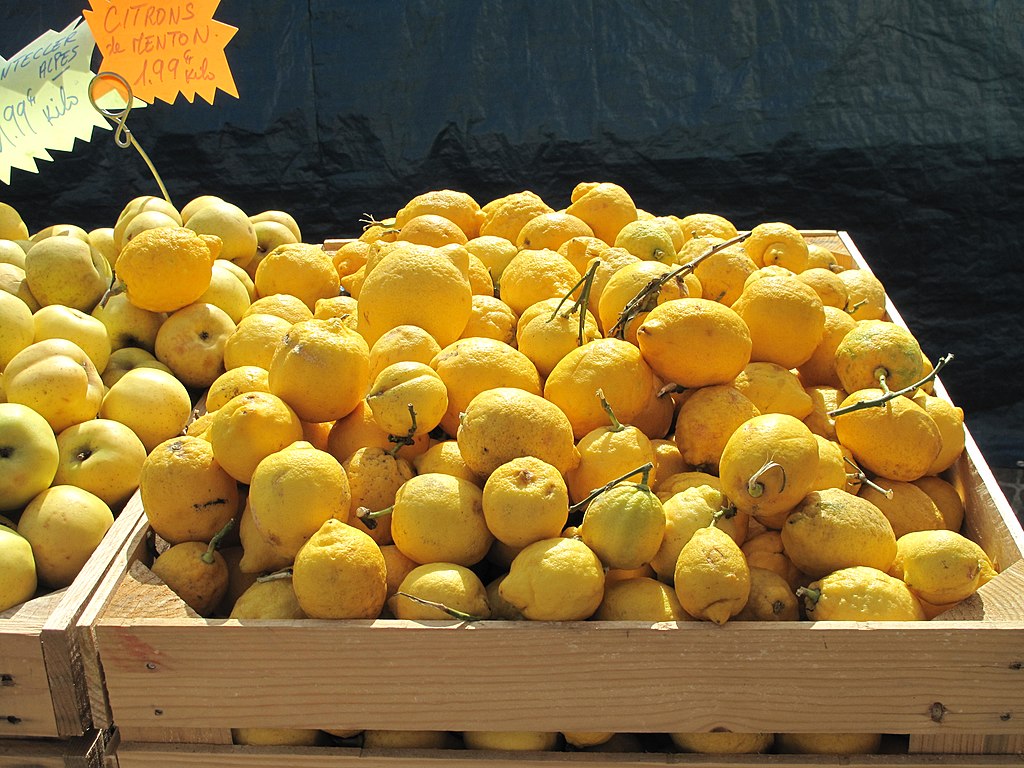 Citrons de Menton