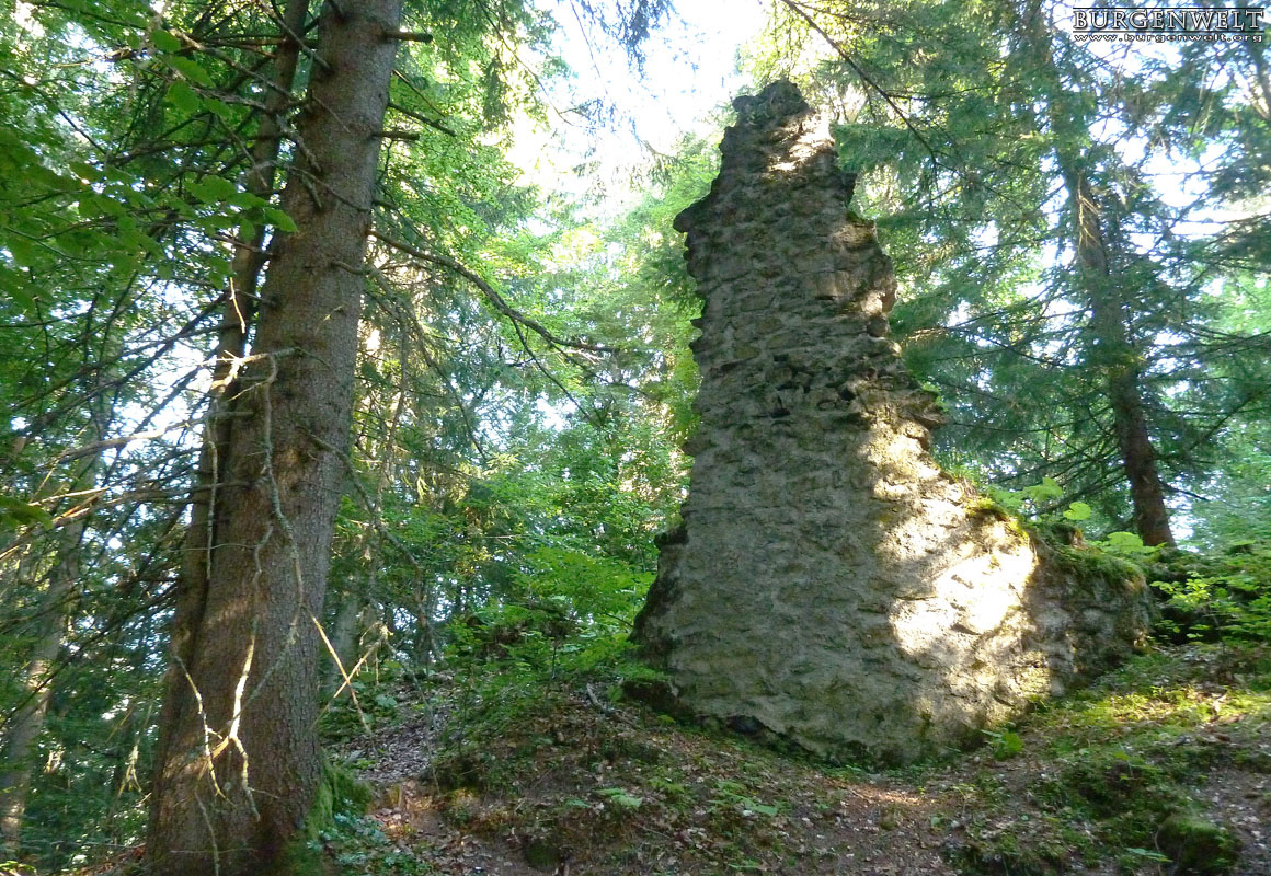 Ruines du château d'Aigremont
