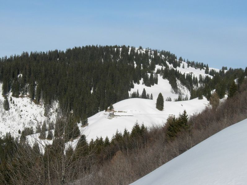 Le Molard