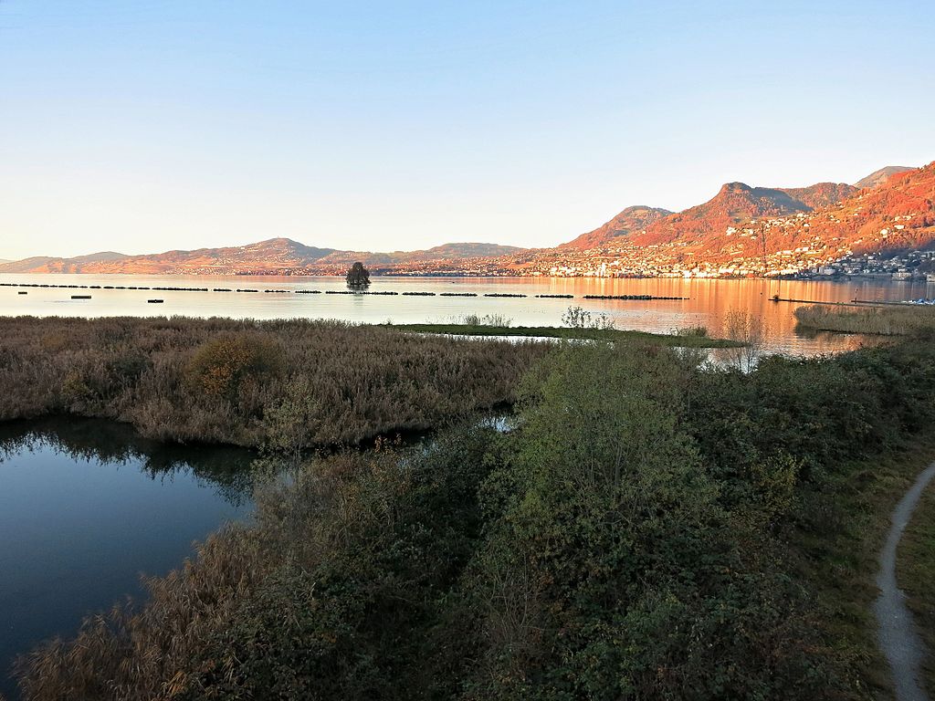 Réserve des Grangettes