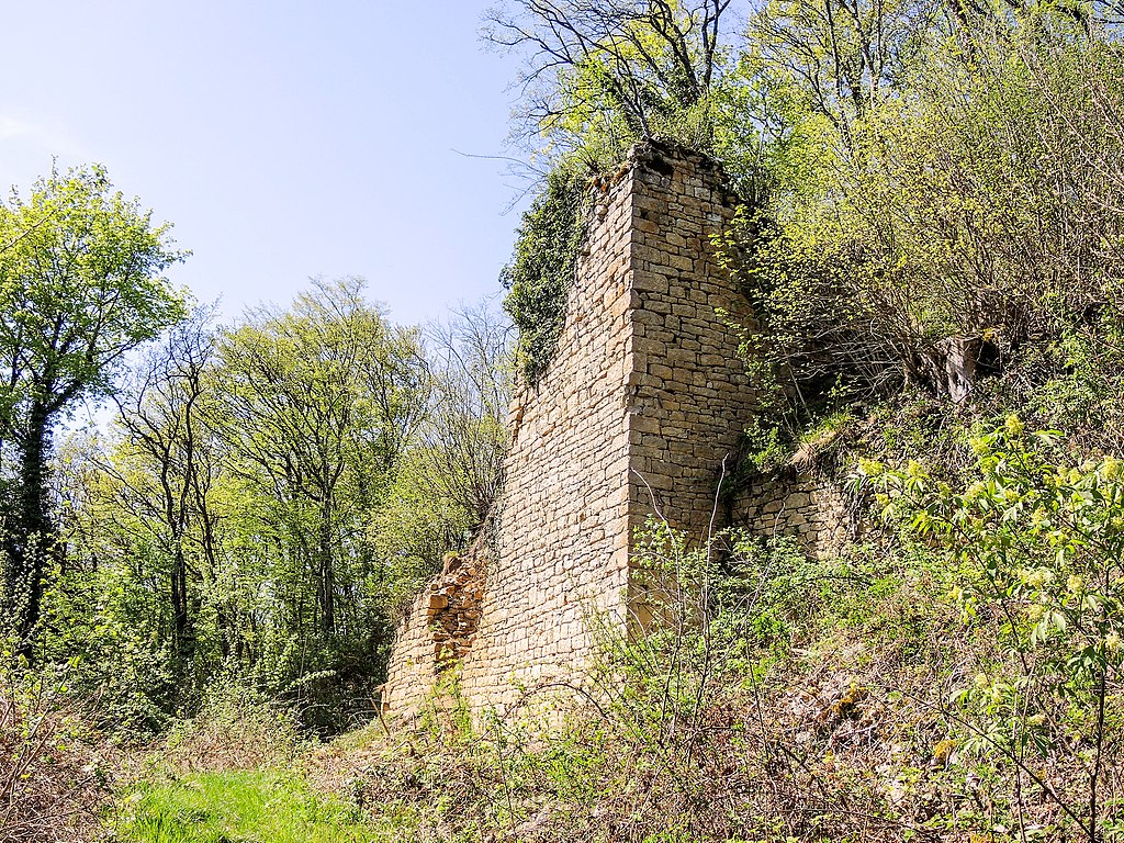 Ruines du château de Silley