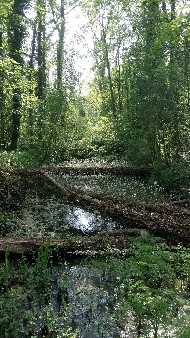 L'hideuse fontaine