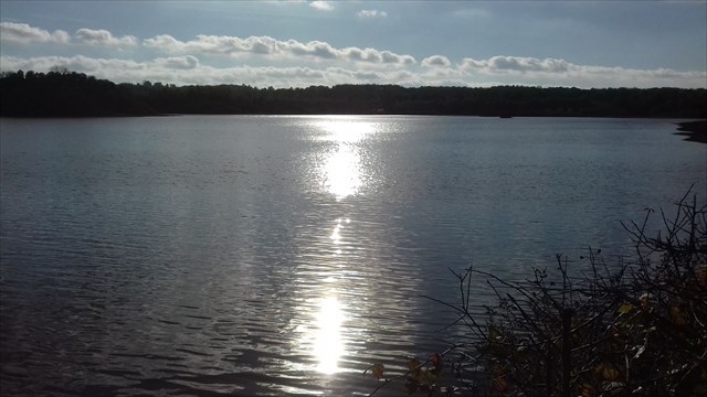 Etang de Vrigny