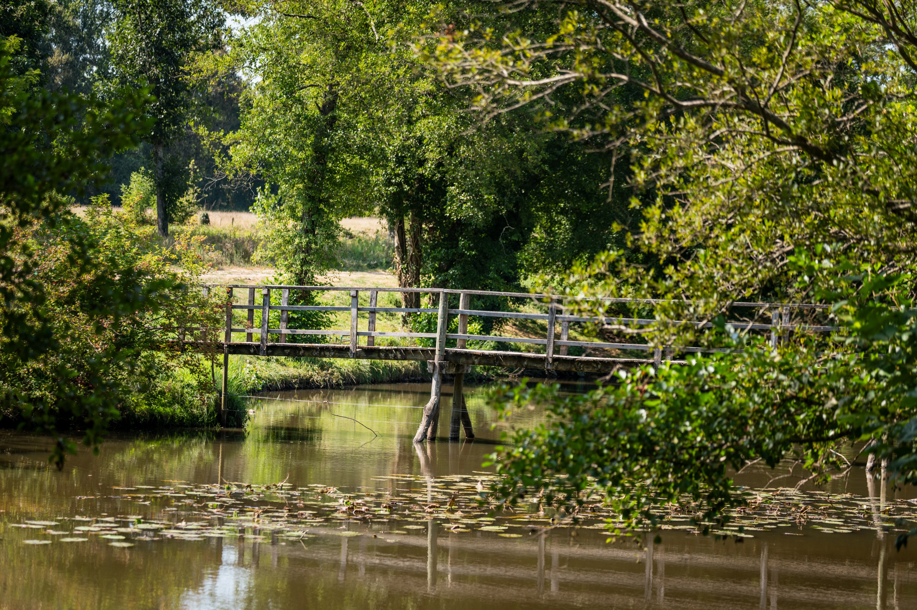 Balade contée contes de Gascogne