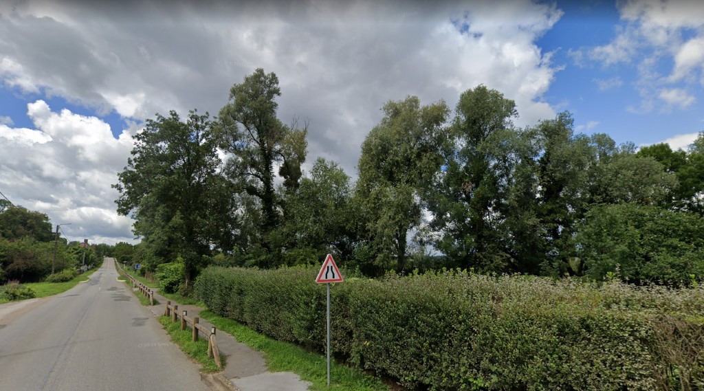 Rangée d'arbres le long du ruisseau