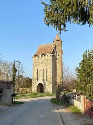 Donjon de Paudy