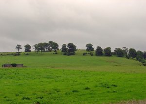 Knockainy Hill