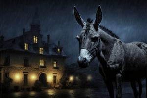 L'âne sous la pluie