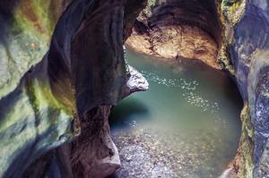 Les gorges du Fier
