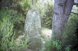Menhir de Saint-Salvayre