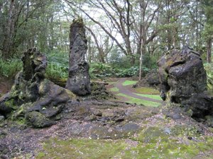 Monument d'État de Lava Tree