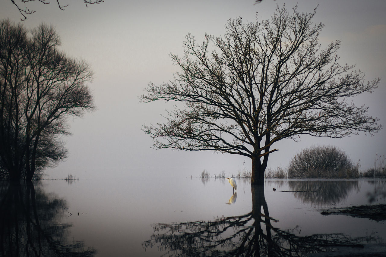 Lac de Grand-Lieu