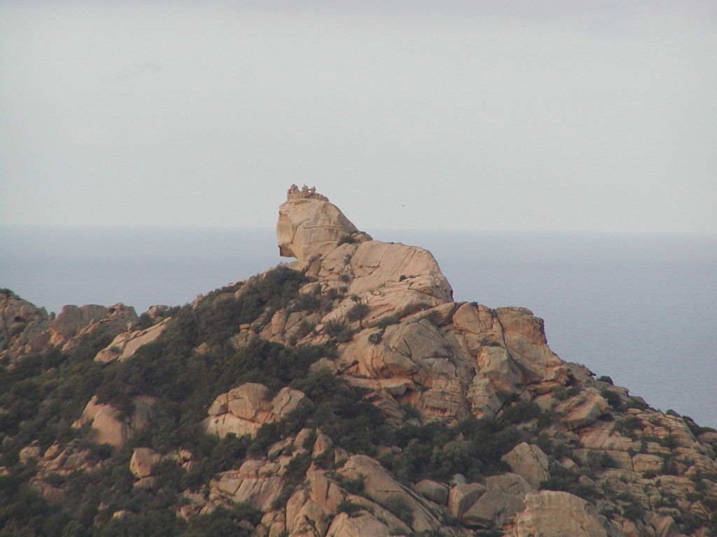 Lion de Roccapina